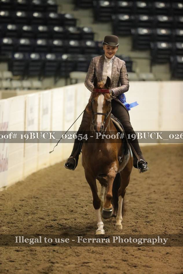 Proof 19BUCK_02654