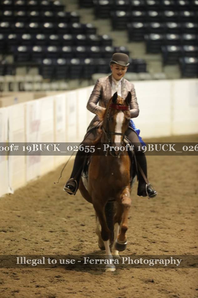 Proof 19BUCK_02655