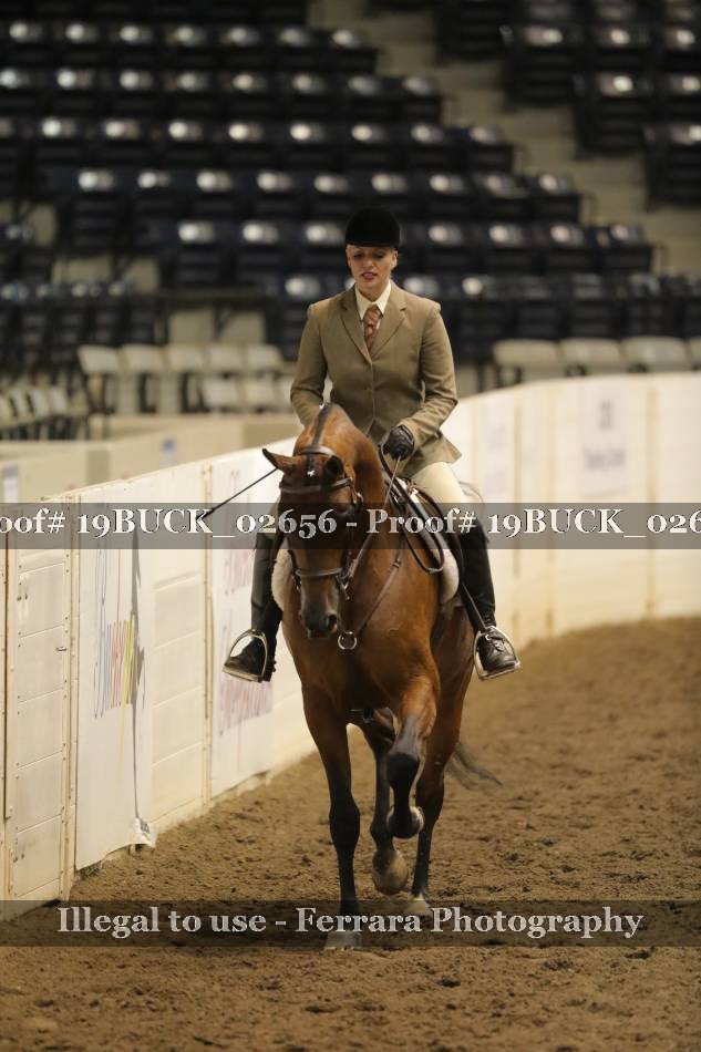 Proof 19BUCK_02656