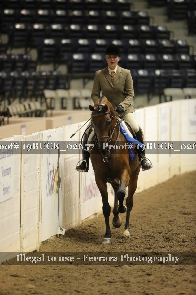 Proof 19BUCK_02657