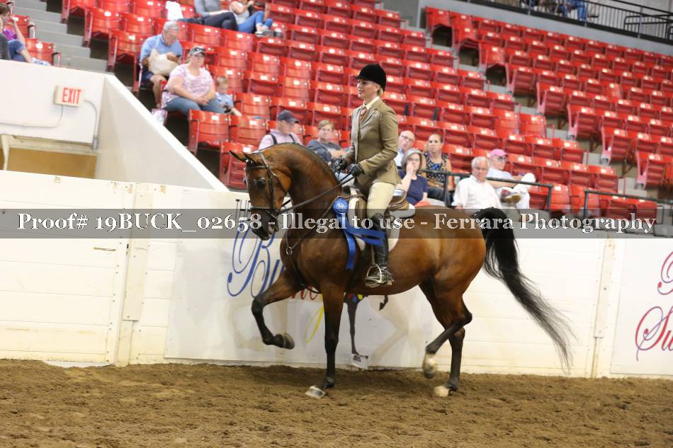 Proof 19BUCK_02658