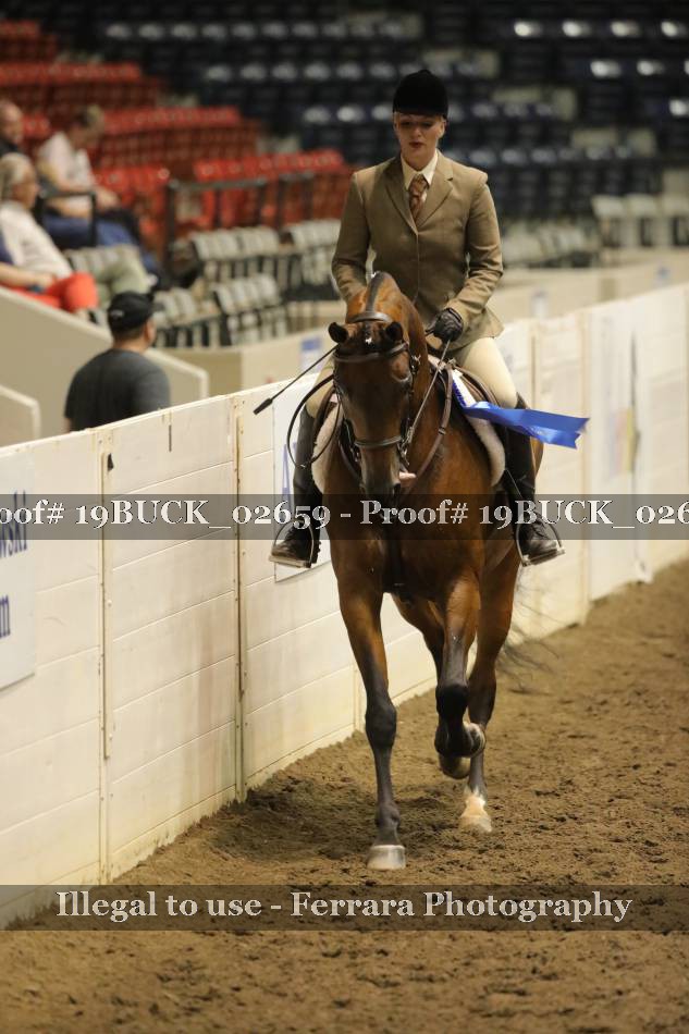 Proof 19BUCK_02659