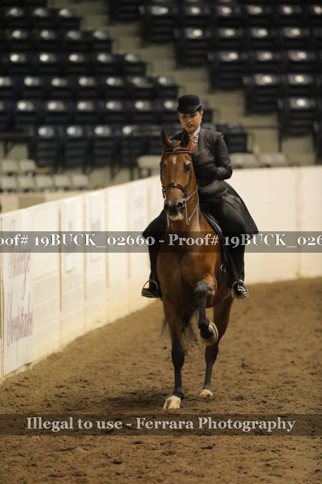 Proof 19BUCK_02660