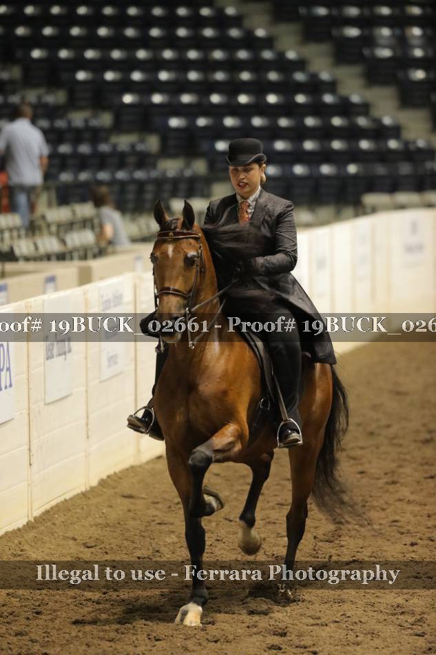 Proof 19BUCK_02661