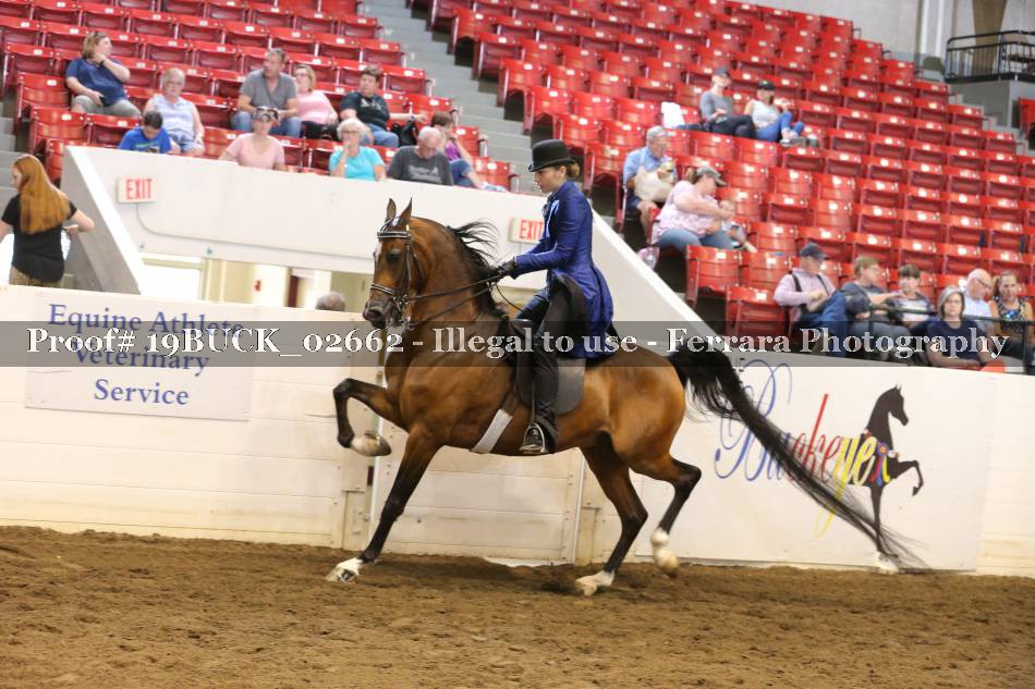 Proof 19BUCK_02662