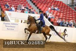 19BUCK_02662 proof