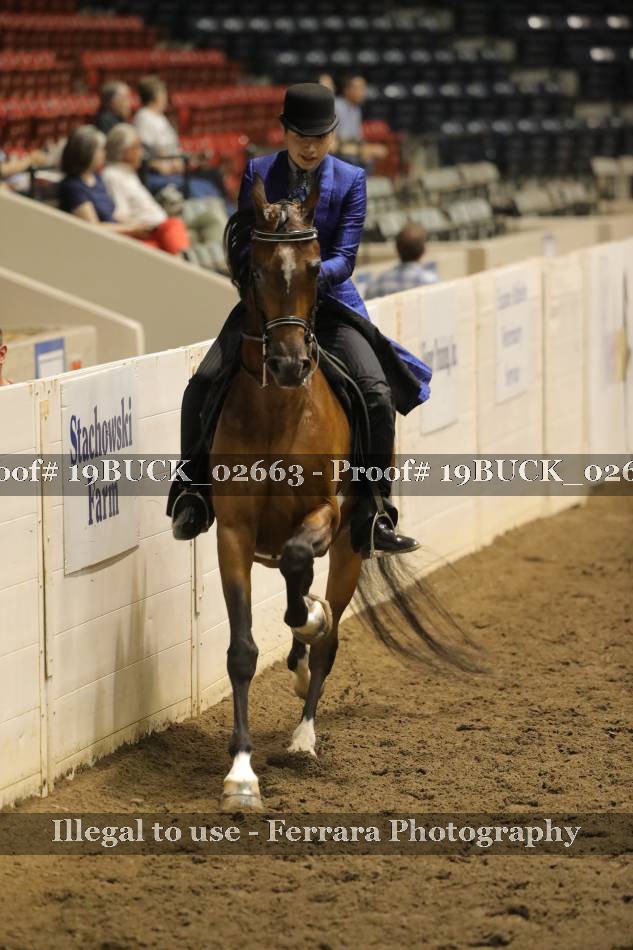 Proof 19BUCK_02663