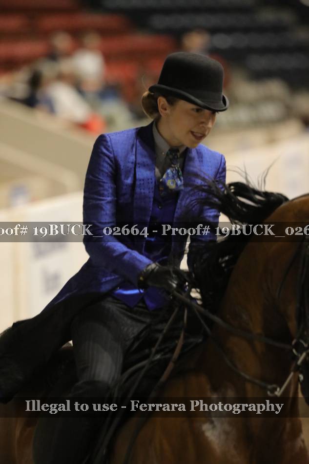 Proof 19BUCK_02664