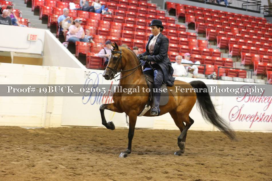 Proof 19BUCK_02665