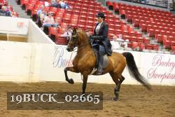 19BUCK_02665 proof