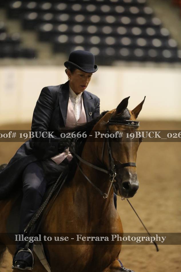 Proof 19BUCK_02666