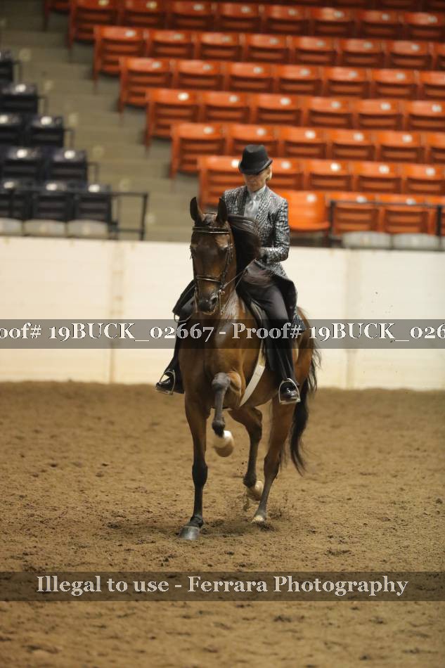Proof 19BUCK_02667