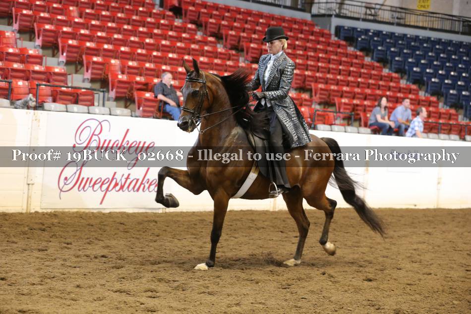 Proof 19BUCK_02668