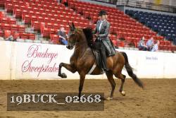 19BUCK_02668 proof