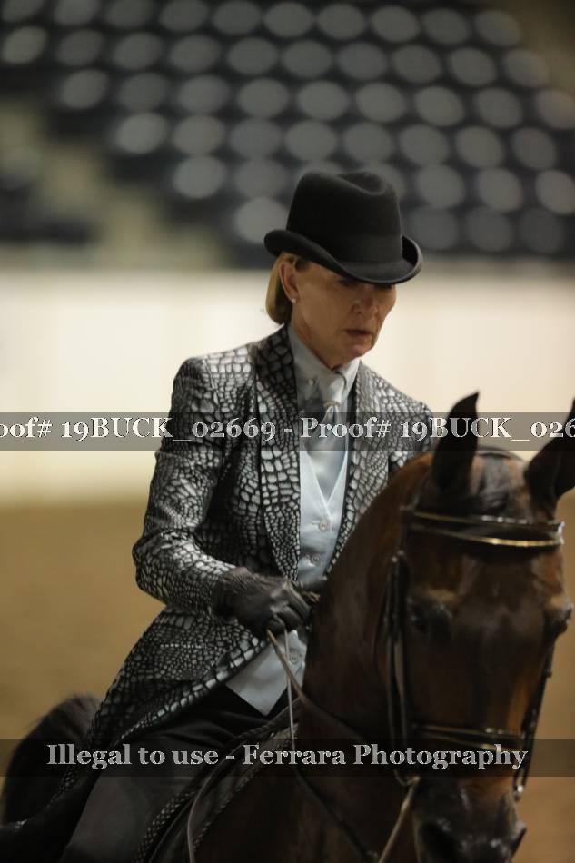 Proof 19BUCK_02669