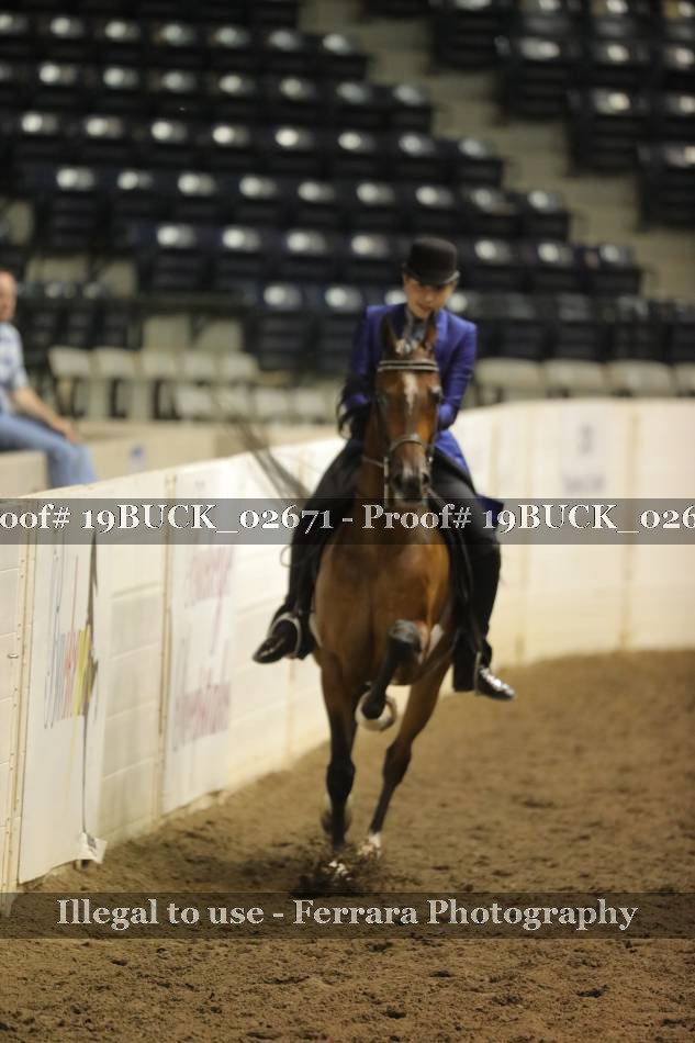Proof 19BUCK_02671