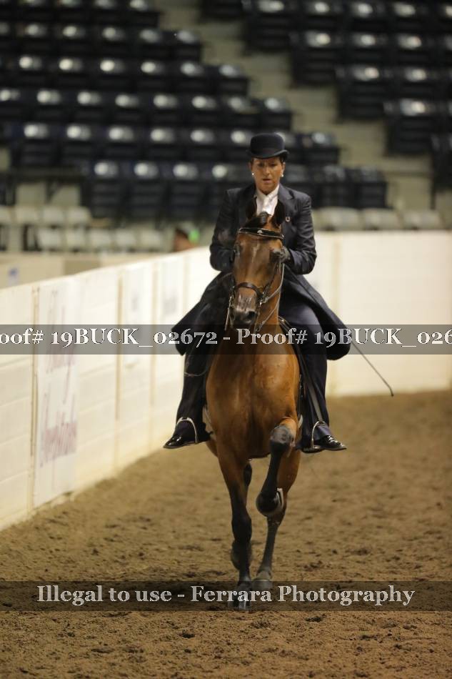 Proof 19BUCK_02672