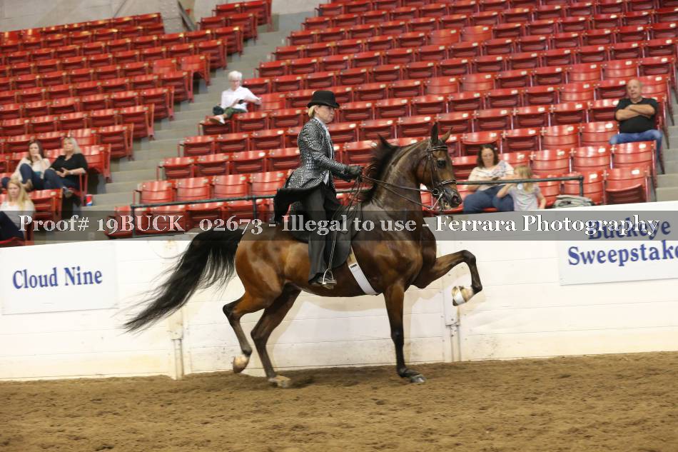 Proof 19BUCK_02673