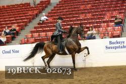 19BUCK_02673 proof