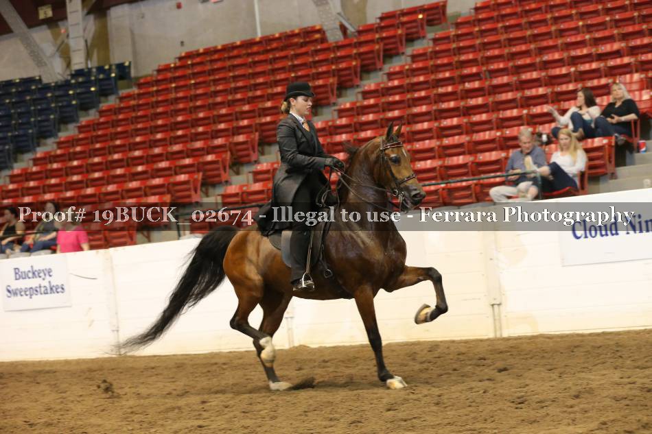 Proof 19BUCK_02674