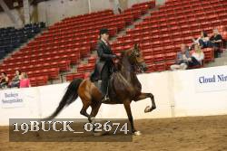 19BUCK_02674 proof