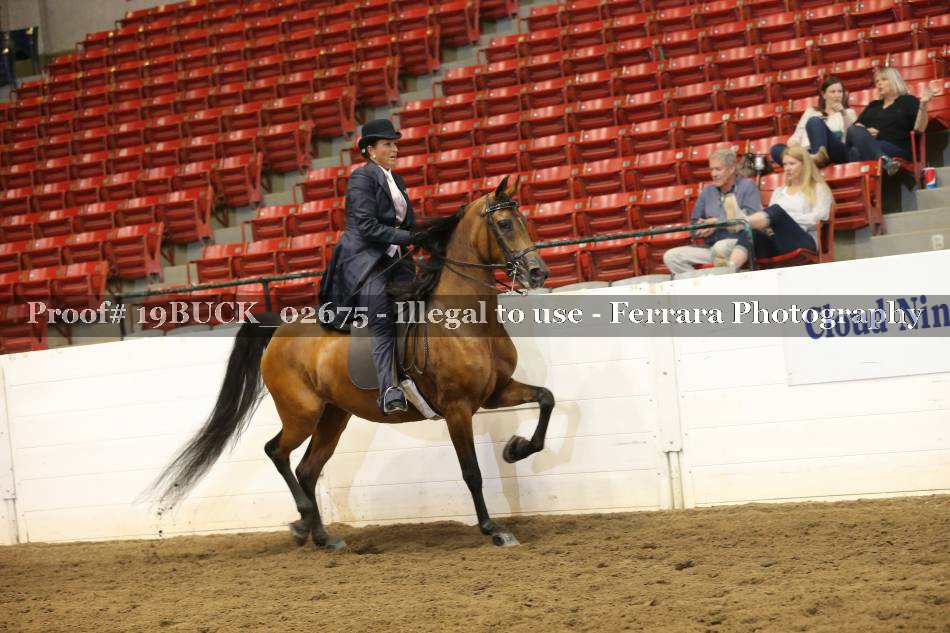 Proof 19BUCK_02675