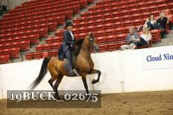 19BUCK_02675 proof