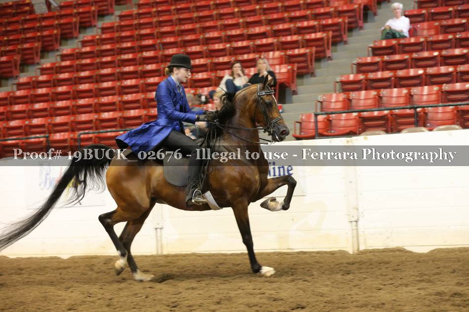 Proof 19BUCK_02676