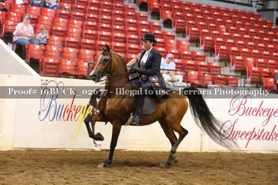 Proof 19BUCK_02677