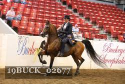 19BUCK_02677 proof