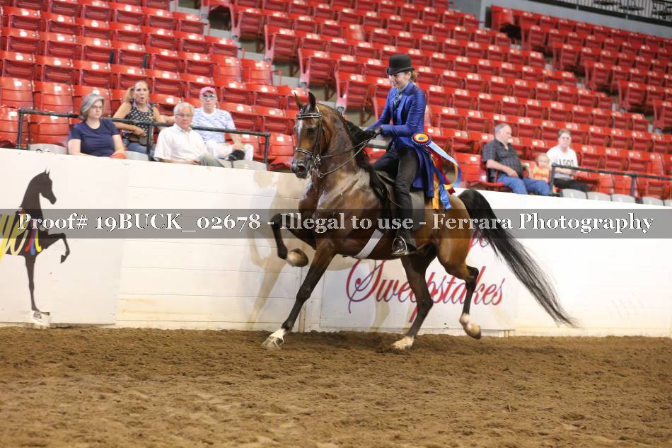 Proof 19BUCK_02678