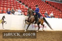 19BUCK_02678 proof