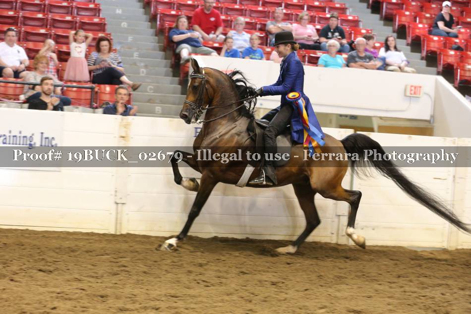 Proof 19BUCK_02679