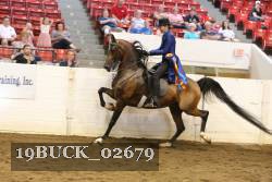 19BUCK_02679 proof