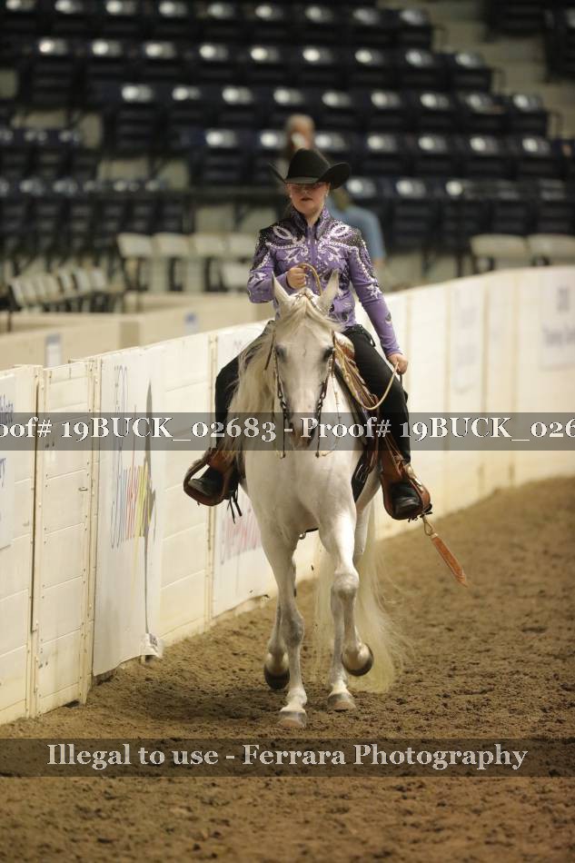 Proof 19BUCK_02683