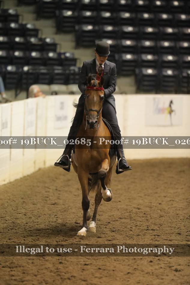 Proof 19BUCK_02685