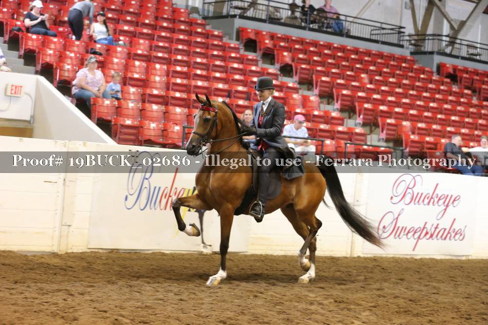 Proof 19BUCK_02686