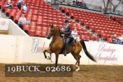 19BUCK_02686 proof