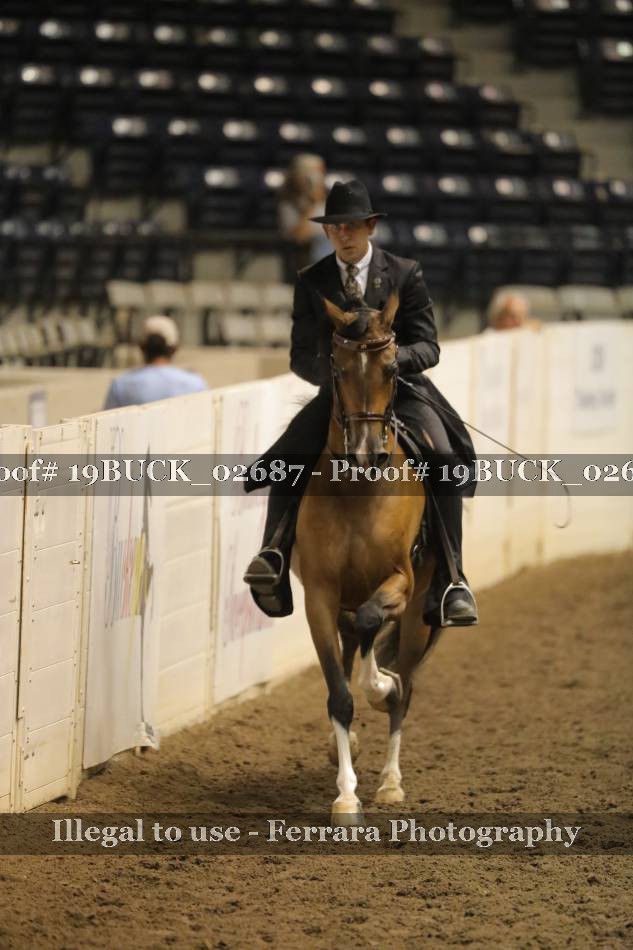 Proof 19BUCK_02687