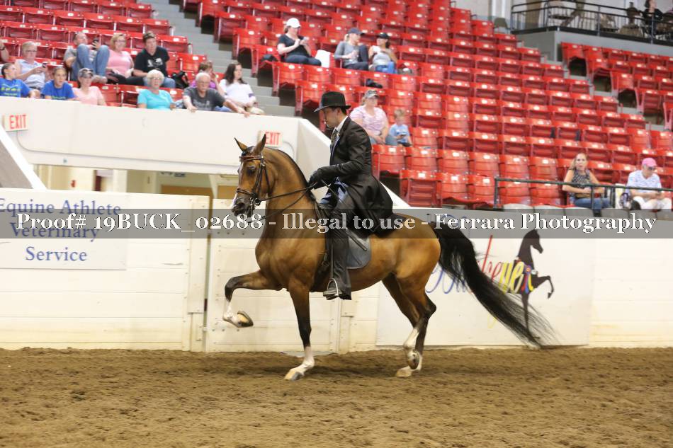 Proof 19BUCK_02688
