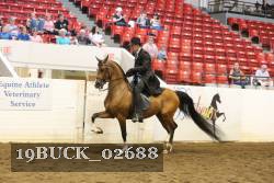 19BUCK_02688 proof