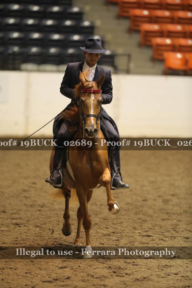 Proof 19BUCK_02689