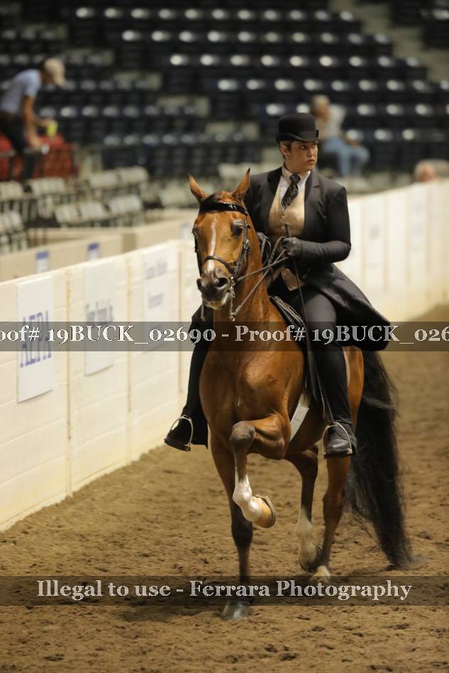 Proof 19BUCK_02690