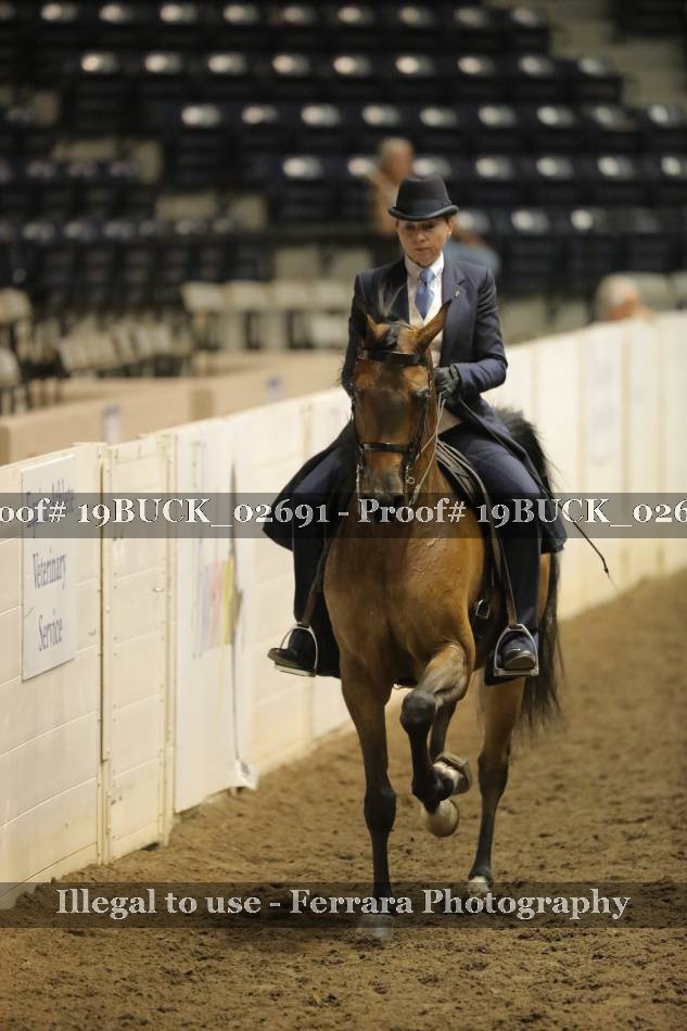 Proof 19BUCK_02691