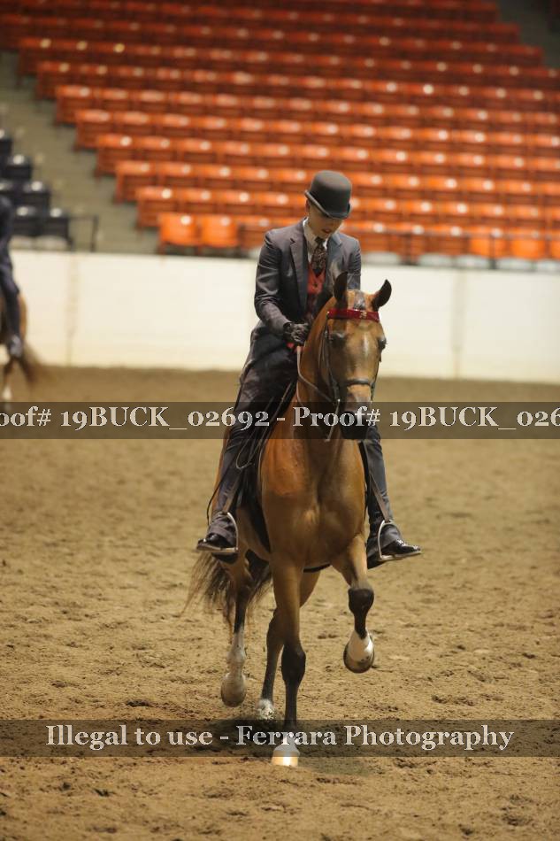 Proof 19BUCK_02692