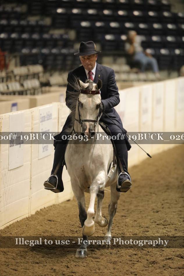 Proof 19BUCK_02693