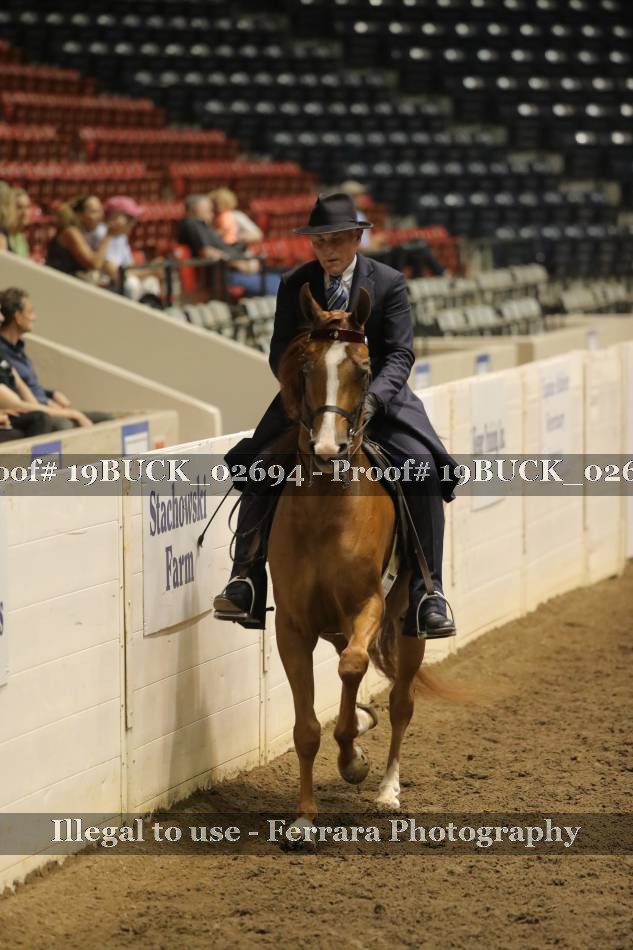 Proof 19BUCK_02694
