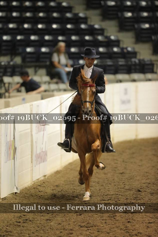Proof 19BUCK_02695