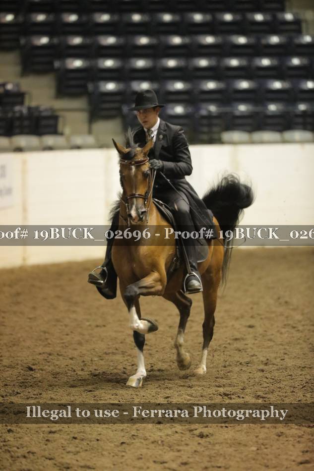 Proof 19BUCK_02696