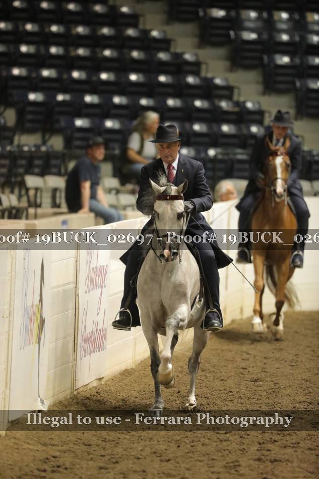 Proof 19BUCK_02697